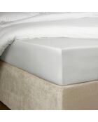 Drap housse Bumblebee argenté