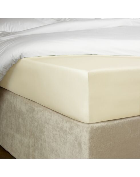 Drap housse Bumblebee ivoire