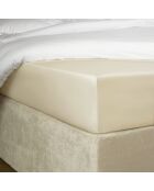 Drap housse Bumblebee beige