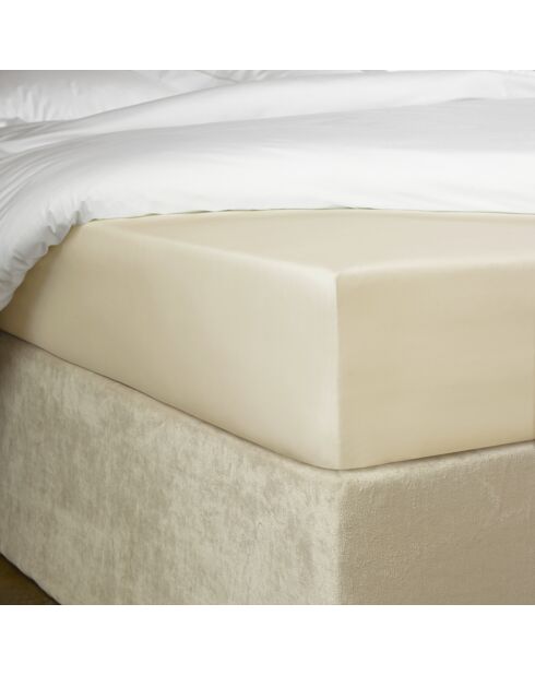 Drap housse Bumblebee beige