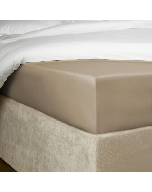 Drap housse Bumblebee taupe