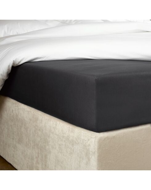 Drap housse Bumblebee gris foncé