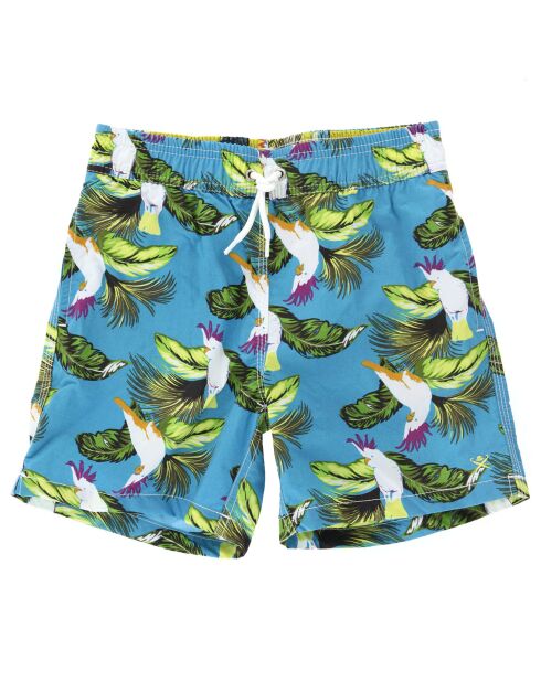 Short de Bain Birds bleu/vert