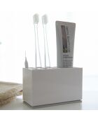 Mist witte tandenborstel- en tandpastahouder - 5x11x6 cm