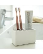 Mist witte tandenborstel- en tandpastahouder - 5x11x6 cm