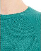 Pull Multon vert foncé