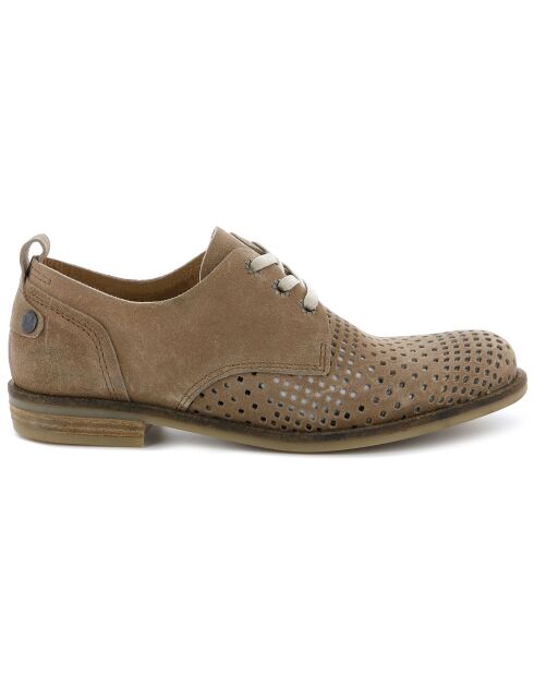 Derbies en Velours de cuir perforé Singa  taupe