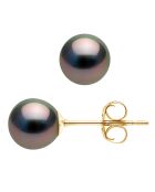 Geelgouden Tahitiaanse pareloorbellen zwart tahiti
