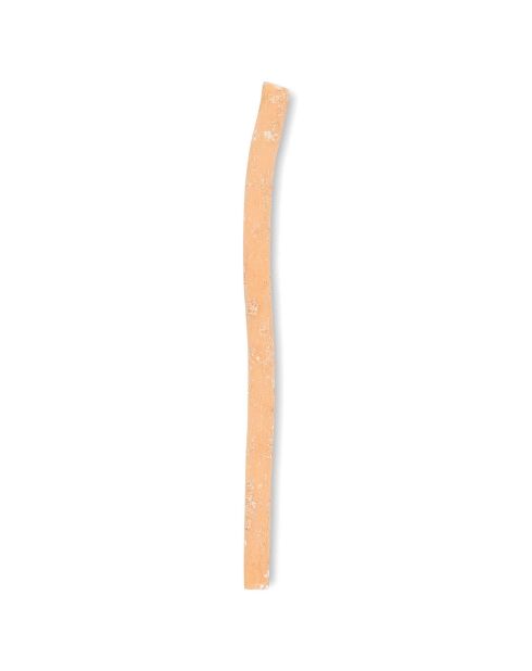 Brosse à dents naturelle Siwak avec étui