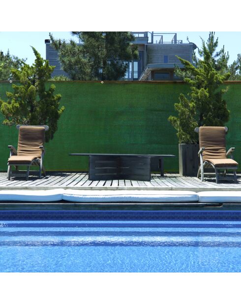 Paralume dello schermo Verde oscurante - 1x5 m