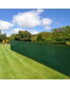 Paralume dello schermo Verde oscurante - 1x5 m