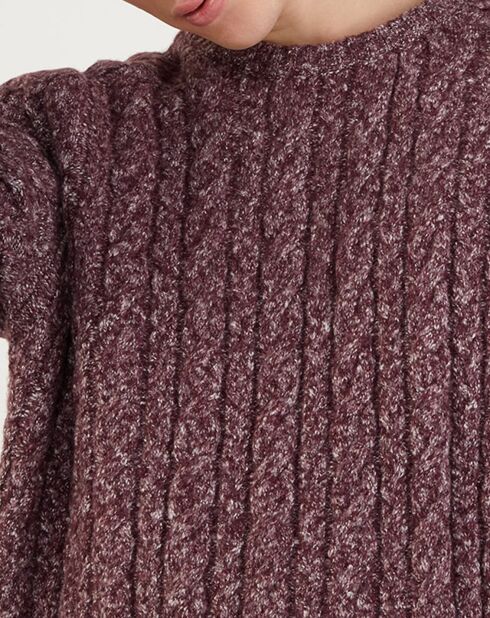 Pull en Maille Victor bordeaux