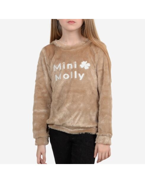 Pull à capuche brodé beige