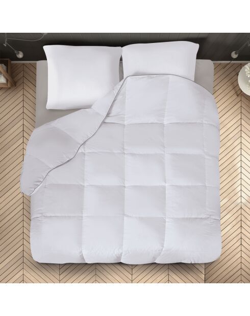 Couette 500gsm et 2 oreillers plume d'oie blanche - 200x200 cm