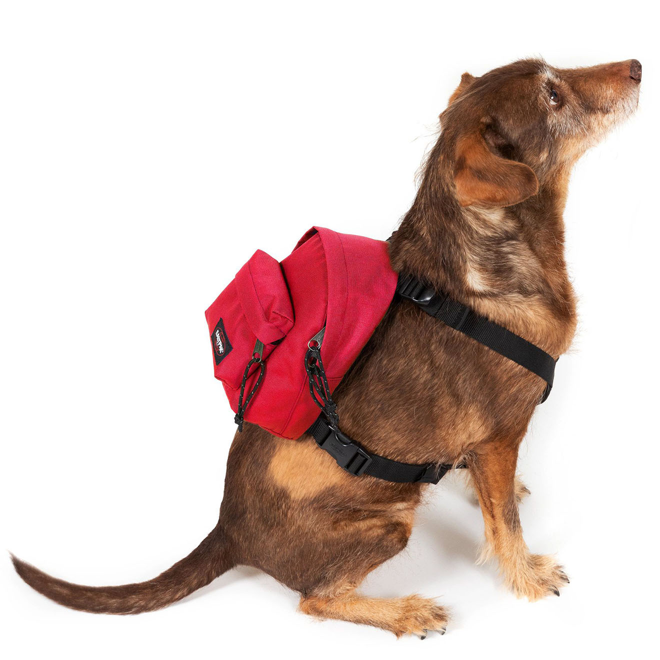 Réduction EASTPAK
