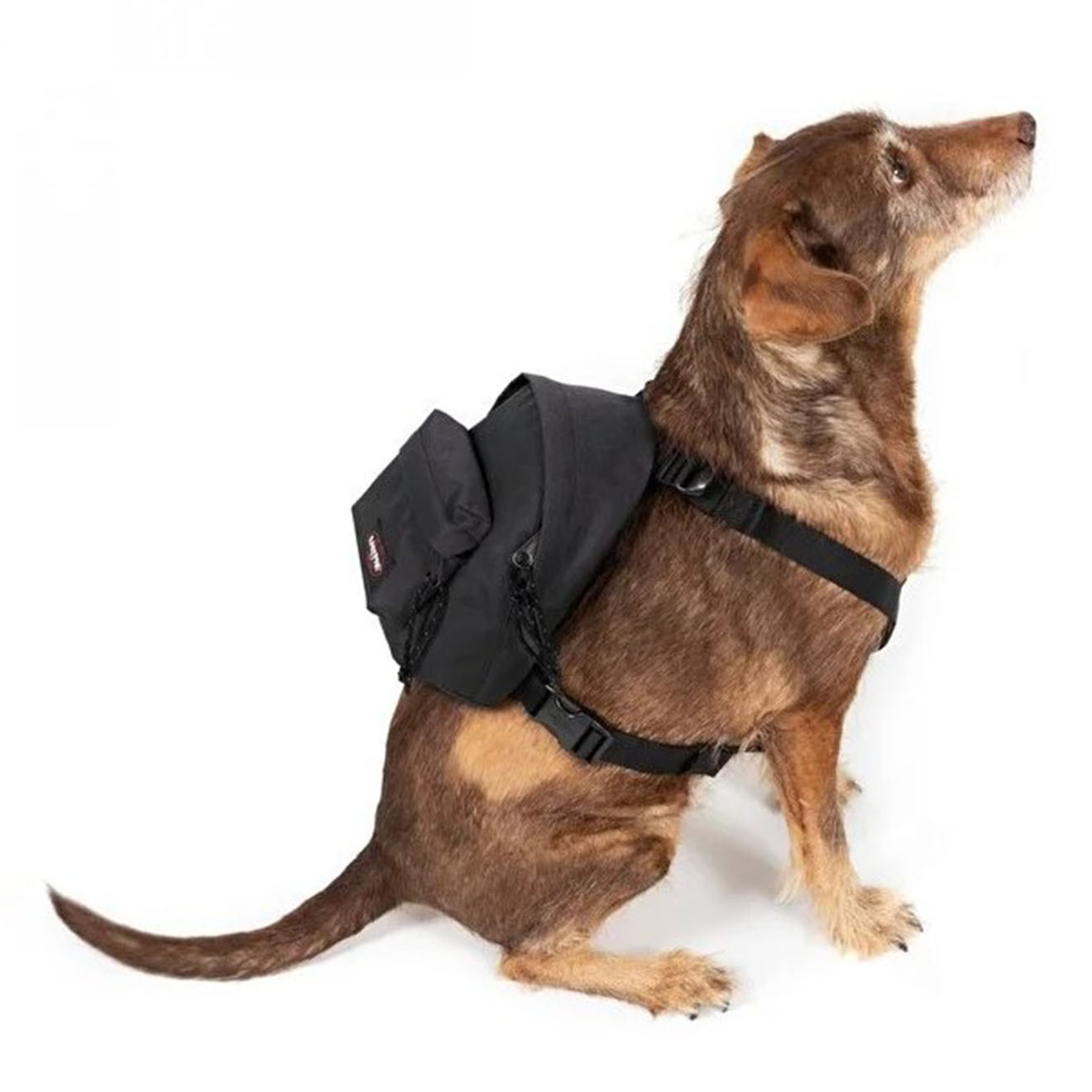 Réduction EASTPAK