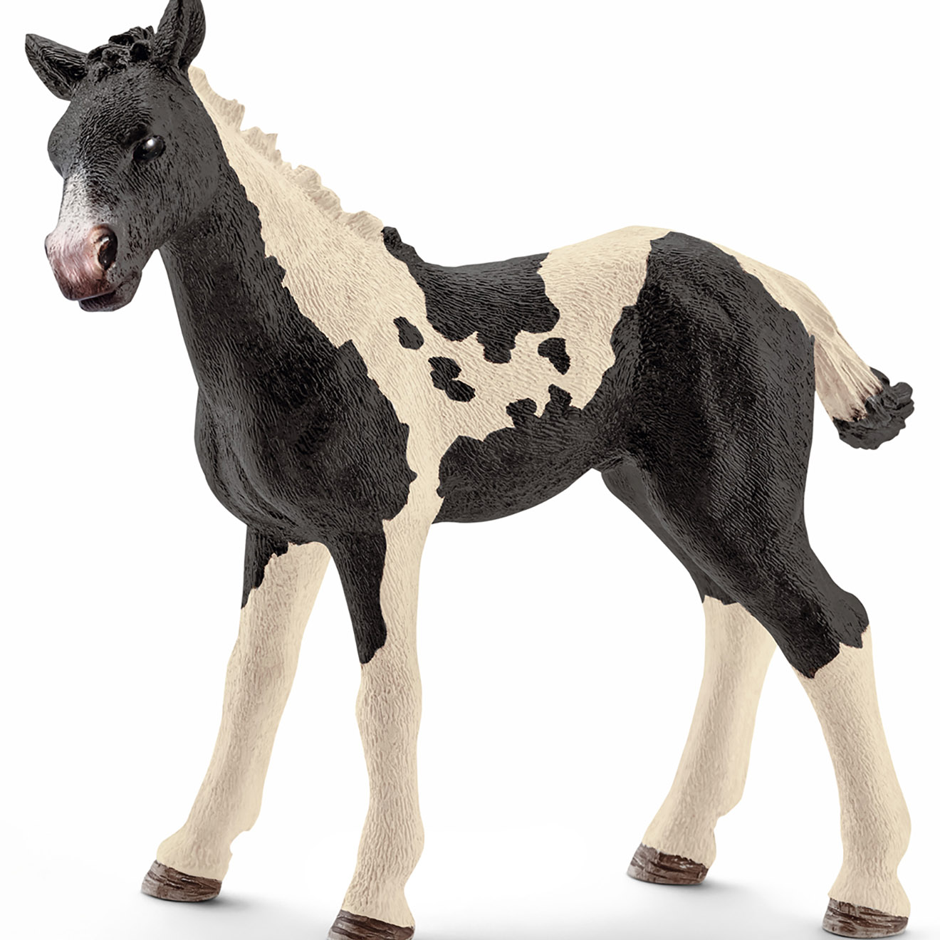 Schleich - Poulain Pinto multicolore