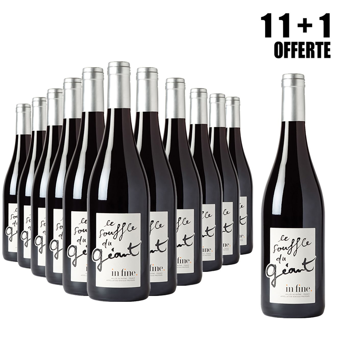 Lot de 11 Ventoux Souffle du Géant 2015 Cascavel 75cl + 1 Offerte