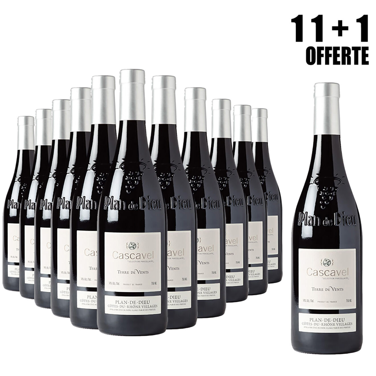 Lot de 11 Plan-de-Dieu Terre de Vents 2015 Cascavel 75cl + 1 Offerte