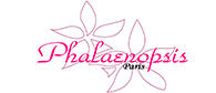 Vente privée Phalaenopsis