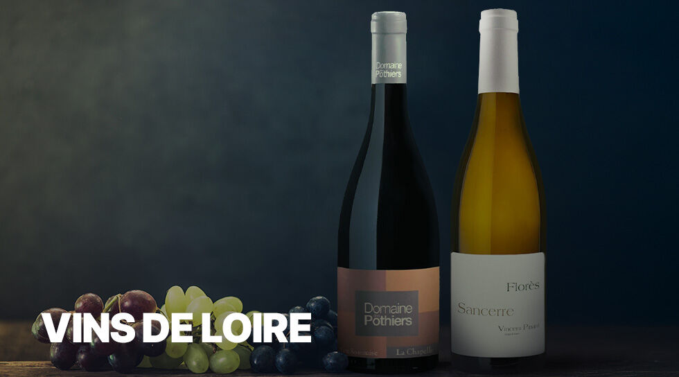 VINS DE LOIRE à super prix chez BAZARCHIC