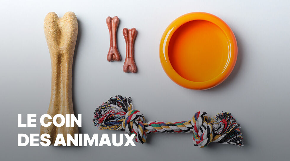 LE COIN DES ANIMAUX pas cher chez BAZARCHIC