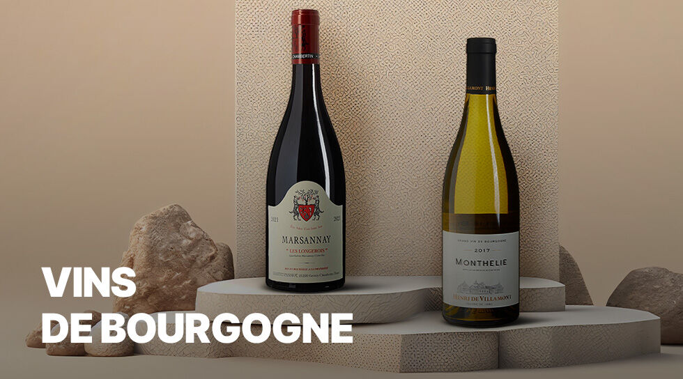 VINS DE BOURGOGNE à bas prix sur BAZARCHIC
