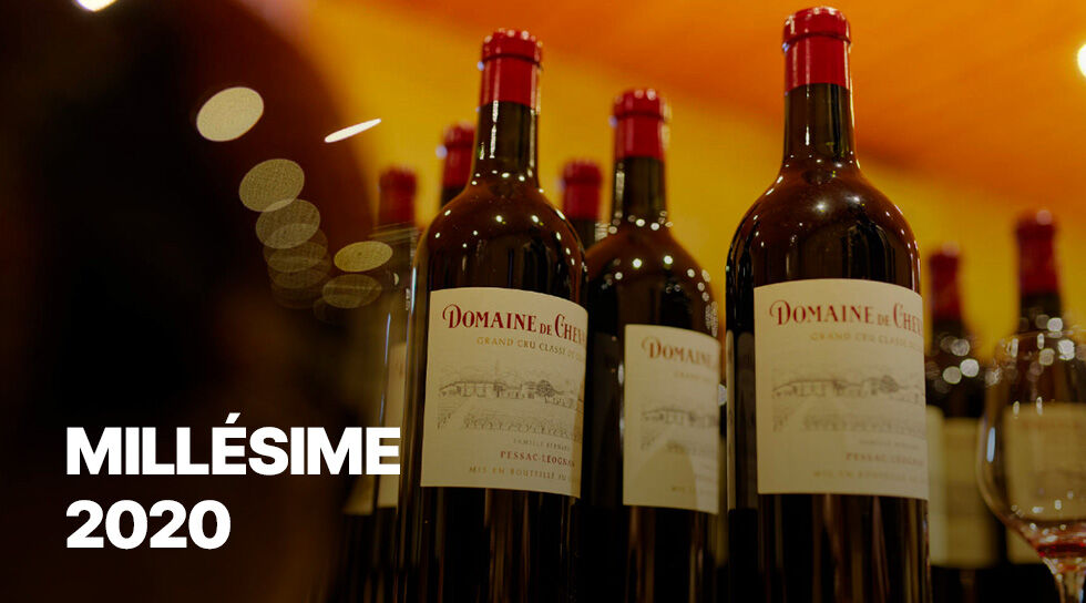 MILLESIME 2020 en vente privée sur BAZARCHIC