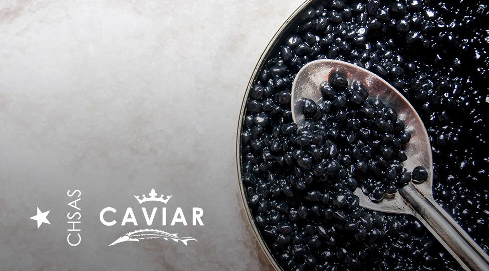 CAVIAR CHSAS en soldes sur BAZARCHIC