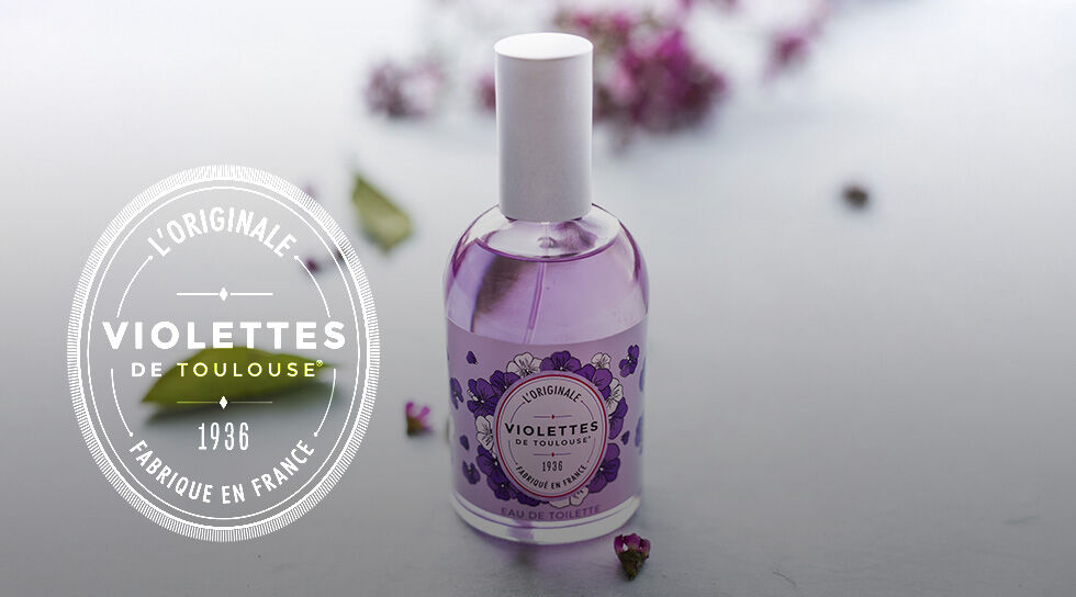 VIOLETTES DE TOULOUSE à super prix sur BAZARCHIC
