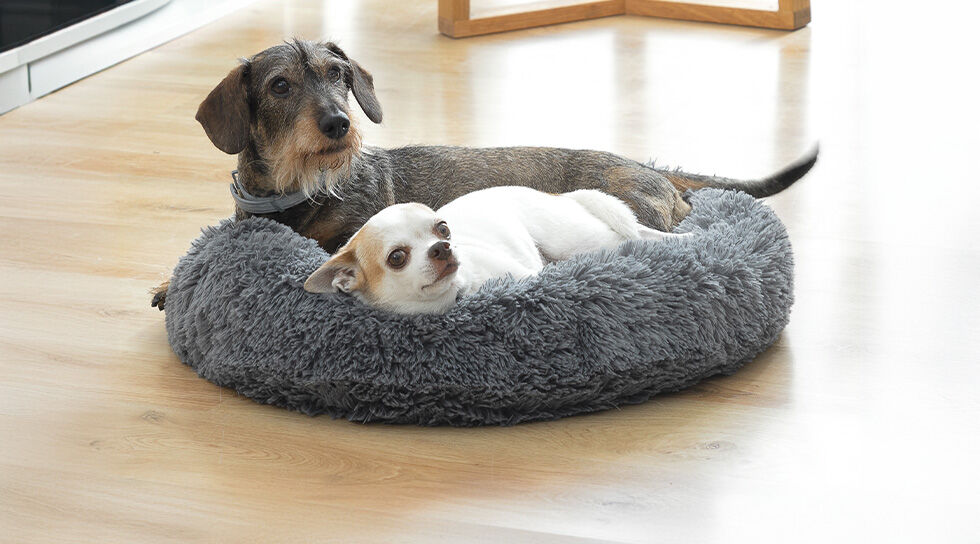 LE COIN DES ANIMAUX à bas prix chez BAZARCHIC