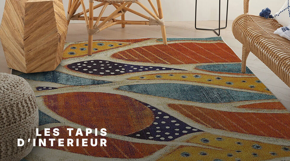 LES TAPIS D'INTERIEUR à super prix sur BAZARCHIC