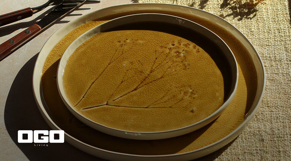 OGO LIVING à super prix chez BAZARCHIC