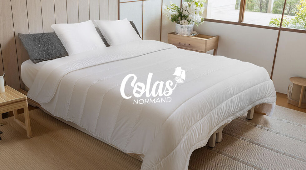 Outlet Cola Normanna
